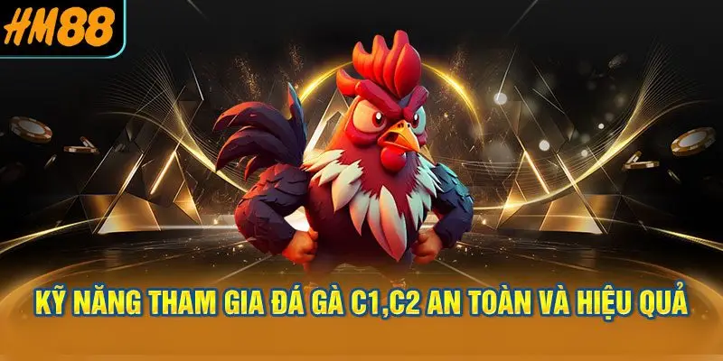 Kỹ Năng Tham Gia Đá Gà C1,C2 An Toàn và Hiệu Quả
