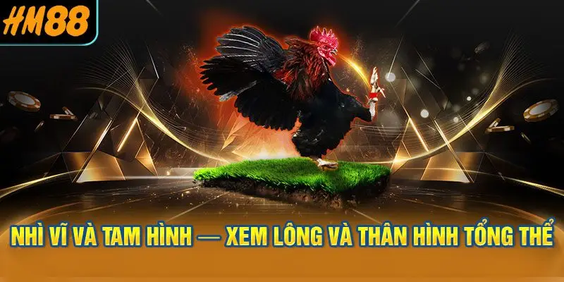 Tứ Túc — Xem Chân Vảy: Tiêu Chí Tinh Tế Nhất