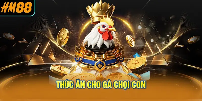 Thức Ăn Cho Gà Chọi Con (Từ Khi Nở Đến 6 Tháng Tuổi)
